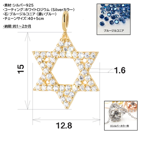 OEM LCCMID 013 FM RDWH CZ BL (お客様別注依頼アイテム)